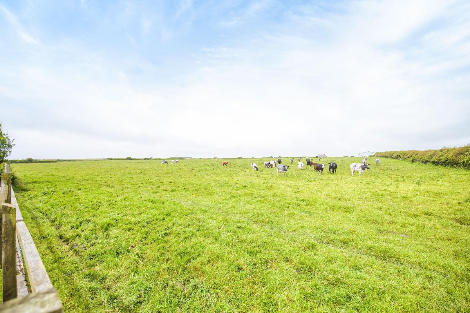 Marcross, Nr Llantwit Major, Vale Of Glamorgan, CF61 1ZG